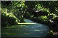 SK3354 : Bridge over the Cromford Canal by David Lally