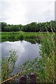 TL4917 : A Nice Spot For Lunch by the Stort Navigation by Glyn Baker