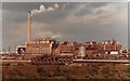 SJ4979 : Frodsham Score looking towards Weaver Sluices and Weston Point beyond by Colin Pyle