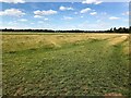 TL2470 : The largest meadow in England by Richard Humphrey