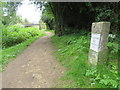 SU0797 : Thames & Severn Path near South Cerney by Malc McDonald