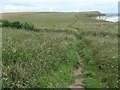 TA1874 : Headland Way on Buckton cliffs, heading westwards by Christine Johnstone