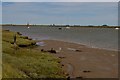 TM4349 : View across the River Ore towards Orford Ness by Christopher Hilton