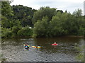 SO7975 : Canoeists on the River Severn by Mat Fascione