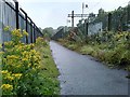 NS5574 : Footpath beside the railway by Richard Sutcliffe