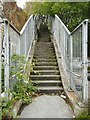 NS5866 : Steps up to the canal by Richard Sutcliffe