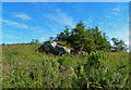 NS4110 : Cairnshalloch limestone outcrop by Mary and Angus Hogg