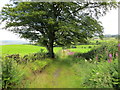 NS4181 : Footpath near to Blairvault that goes to Mill of Haldane by Peter Wood