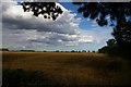 TM2543 : Looking north-east out of Brightwell churchyard by Christopher Hilton