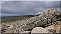 NH6265 : Sea defences, Balconie Point, Inverness-shire by Claire Pegrum