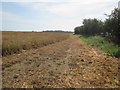 TA0551 : Field  edge  footpath  toward  Rotsea by Martin Dawes