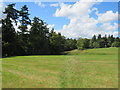 SP3725 : Public footpath near Enstone by Malc McDonald