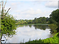 TL8299 : Flooded Water meadow by David Pashley