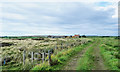 NZ7611 : Farm road and bridleway approaching farm by Trevor Littlewood