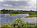 SD4213 : Wetlands at the Southern End of the Martin Mere Reserve by David Dixon