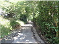 SJ1363 : Steep hill dropping towards Llangynhafal by Eirian Evans