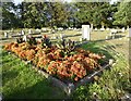 TQ4677 : Grave in Woolwich New Cemetery by Marathon