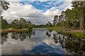 NJ0255 : Loch of Blairs by valenta