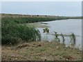 TF7544 : People walking to the beach at Titchwell by Christine Johnstone