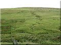 NT6360 : Rough grazing in the Lammermuir Hills by M J Richardson