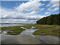 TM2537 : Mudflats near Loompit Lake by Chris Holifield