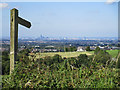 SJ9895 : Wooden Signpost by Stephen Burton