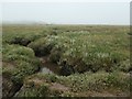 TF7344 : View south-west across Thornham saltmarsh by Christine Johnstone