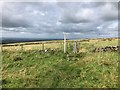 SJ9473 : Gritstone Trail near Windyway Farm by Philip Cornwall