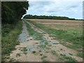 TF8335 : Strip of woodland off a private farm track by Christine Johnstone