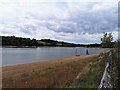 TQ3329 : Ardingly Reservoir by PAUL FARMER