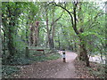 TQ4187 : Gate on a path into Wanstead Park by Malc McDonald