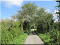 SY6688 : Country lane near Dorchester by Malc McDonald