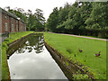 SJ7387 : The moat at Dunham Massey, western arm by Stephen Craven