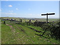 SY6486 : South Dorset Ridgeway near Dorchester by Malc McDonald