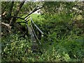 SK6957 : Footbridge across Hockerton Dumble by Alan Murray-Rust