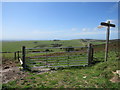 SY6286 : Path to Hell Bottom, near Dorchester by Malc McDonald