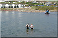 SX6444 : Wading to Bigbury-on-Sea by Stephen McKay