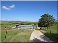 SY6587 : Driveway through Higher Ashton Farm, near Dorchester by Malc McDonald