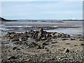 NX5750 : Shoreline at Isles Mouth at low tide by Oliver Dixon