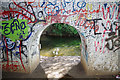 SJ9123 : Under the car park access bridge, Stafford by Stephen McKay