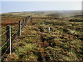 NT3148 : Fence on Blackhope Scar by wrobison