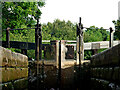 SJ9065 : In Bosley Lock No 10 in Cheshire by Roger  D Kidd