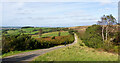 NZ0646 : Waskerley Way to the north by Trevor Littlewood