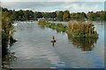 NS6466 : Artificial islands, Hogganfield Loch by Richard Sutcliffe