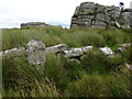 SX5972 : Plymouth Water Works Boundary Stone by Mr Red