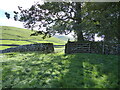 SE0062 : Dry stone wall and gate near Waddy Plantation by Chris Holifield