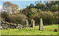 NZ0747 : Multiple gateposts beside Waskerley Way by Trevor Littlewood