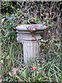 ST8686 : Old water pump at entrance to Easton Town Farm by Vieve Forward