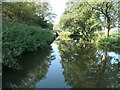 SJ9850 : Parting of the ways, heading north on the Caldon Canal by Christine Johnstone