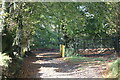 ST2394 : Cattle grid and gates on byway, Cefn Rhyswg by M J Roscoe